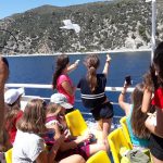 1-38931946-255620115260919-8165261561644974080-n_orig